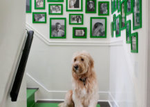 Corner stairway gallery with green picture frames, green floor carpet, and a dog.
