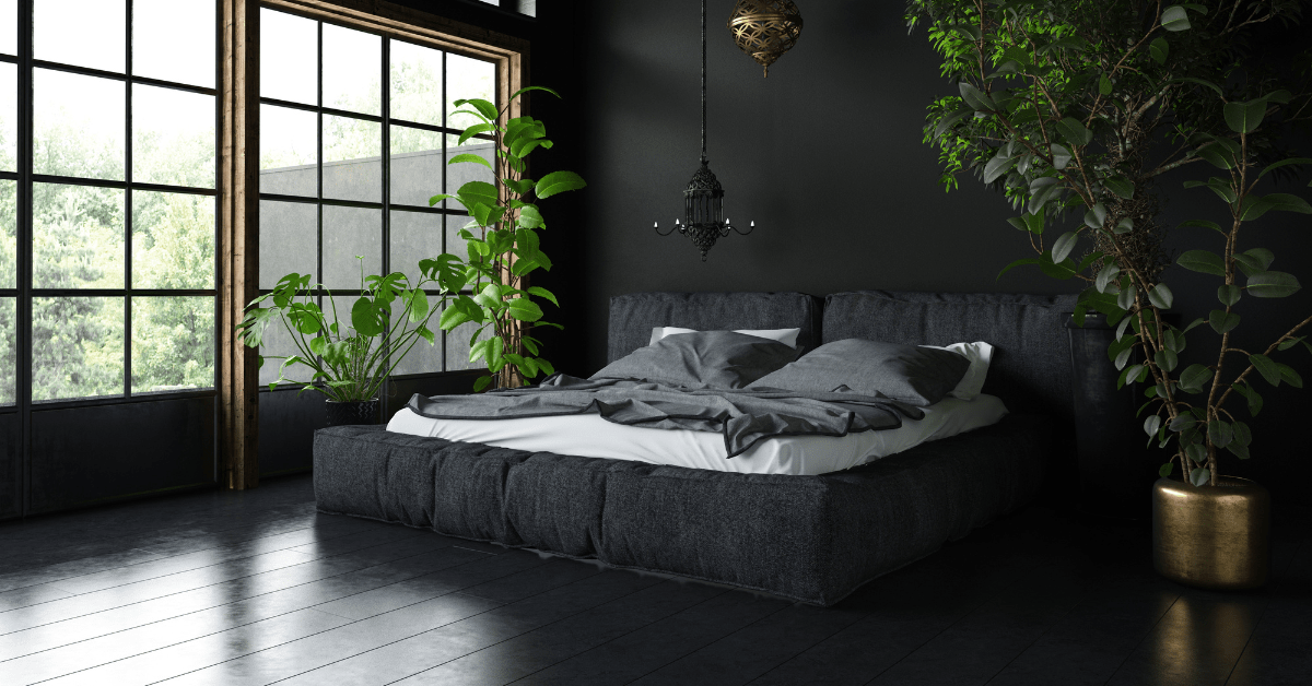 Black bedroom with plants and large window.