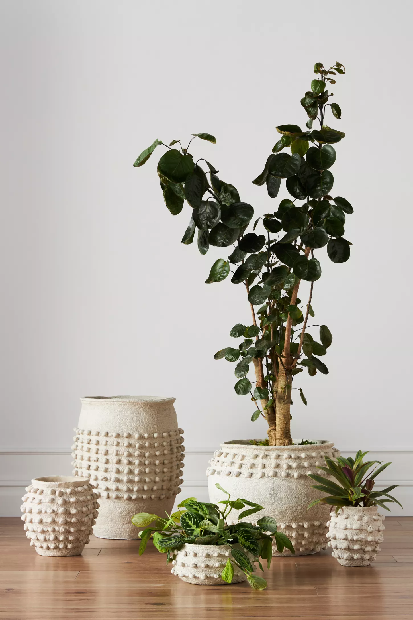 Minka Textured pots with greenery product photo