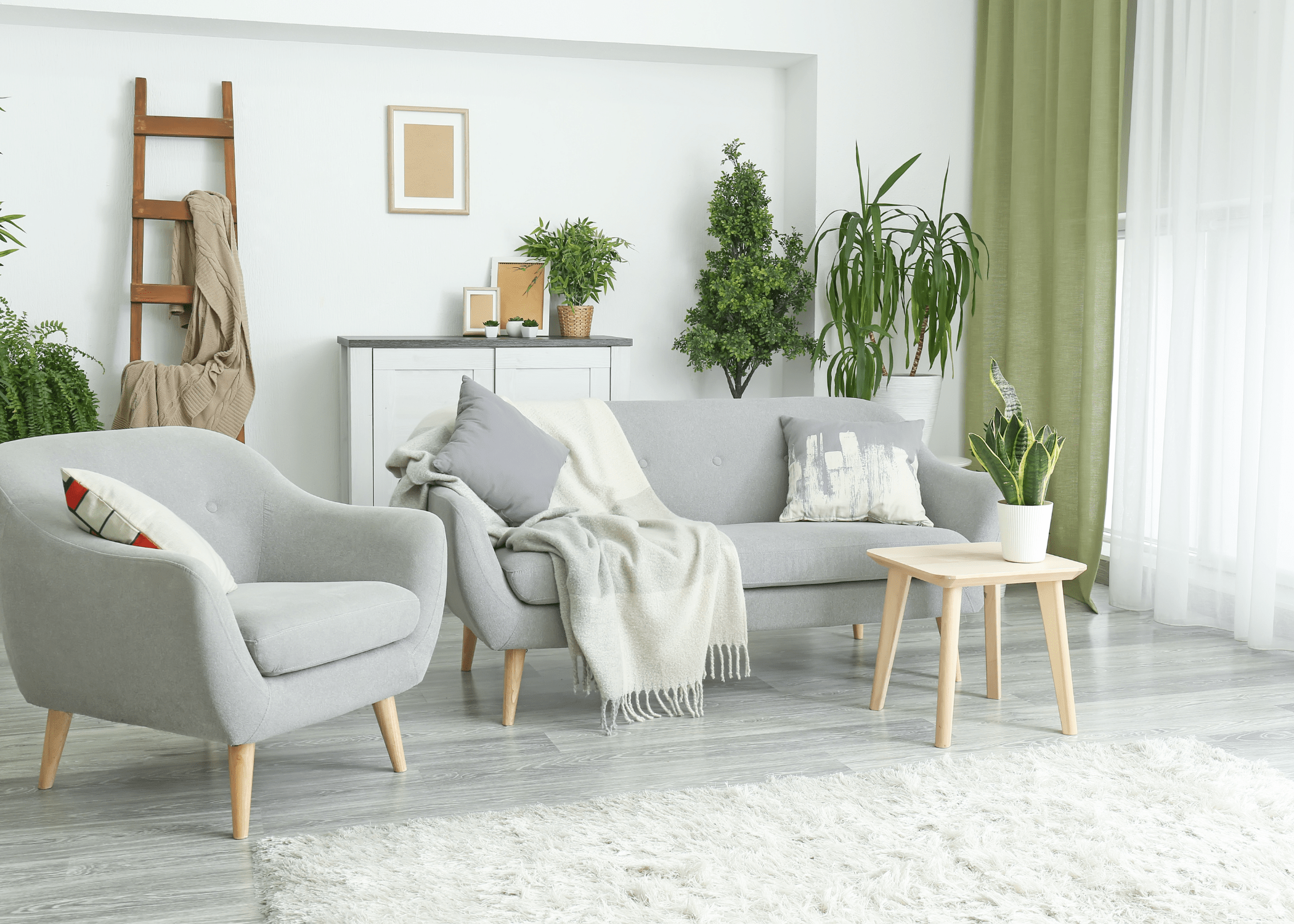 white living room with lots of house plants