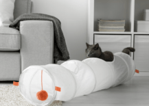 cat playing with a play tunnel white in grey living room
