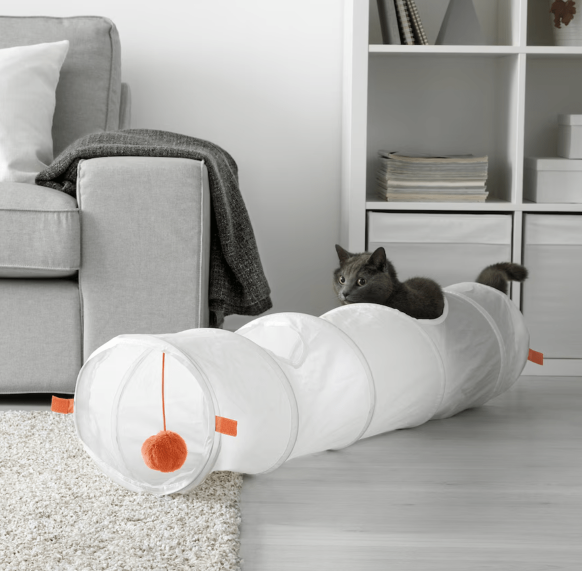 cat playing with a play tunnel white in grey living room