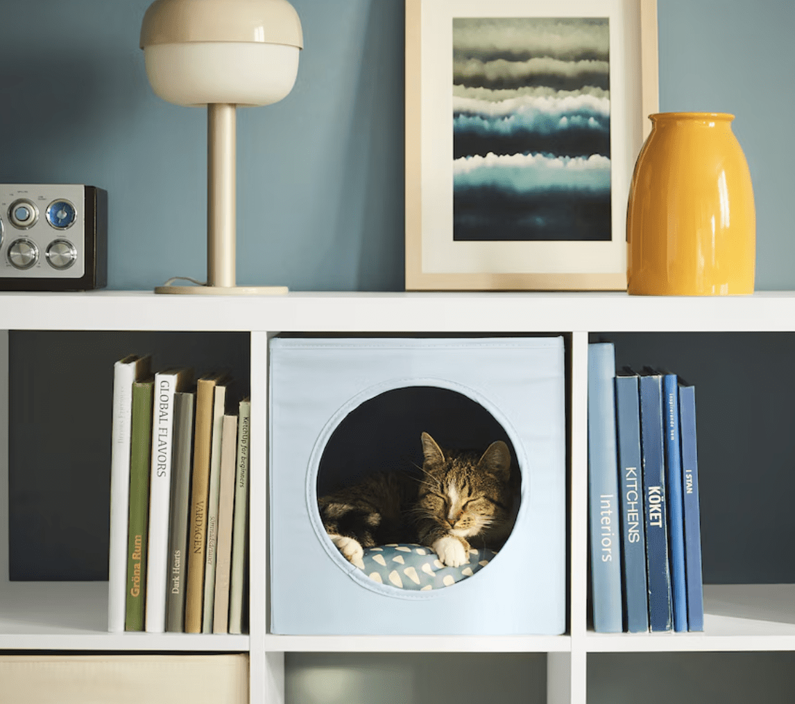 cat sleeping in a cat house inside a bookcase