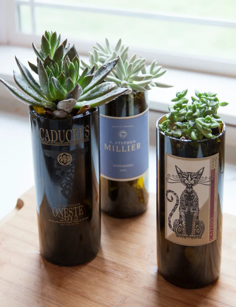 wine bottles cut in half to make planters